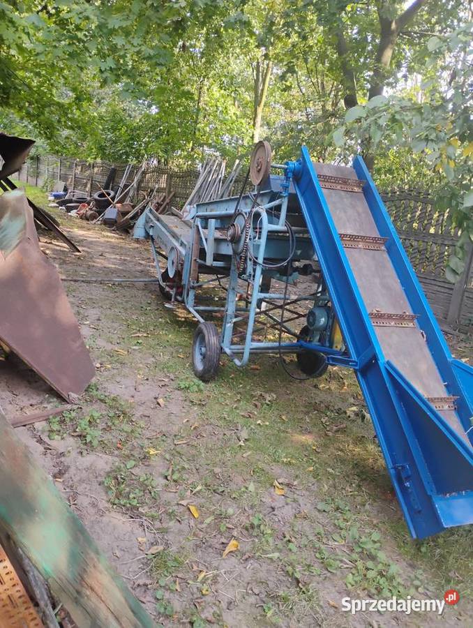 Sortownik do ziemniaków PUCK