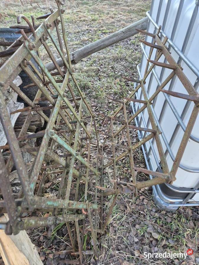 3x pole bron lekkie brona brony pole brony 3 Bucze