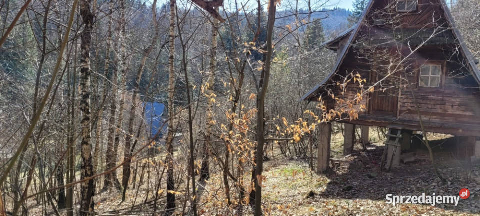DOMEK W LESIE 25m2 Targanice