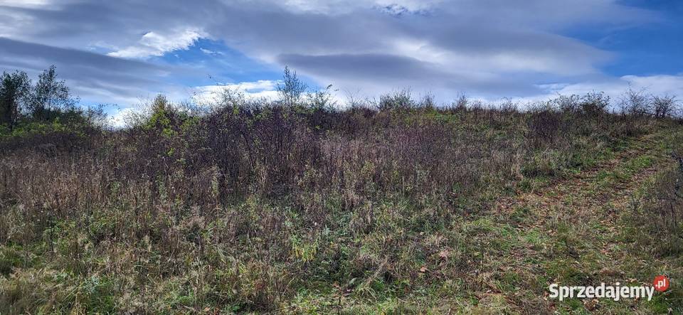 Działka rolno leśna w Baligrodzie 25 ha 25783m2 Baligród