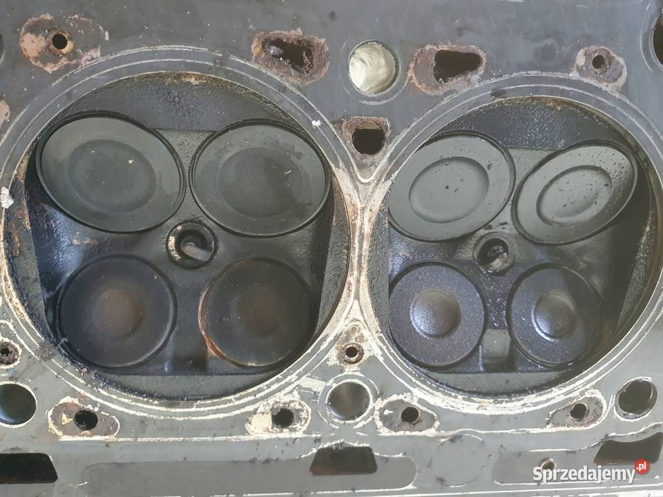 Renault Scenic II 16 16V GŁOWICA CYLINDRÓW Części samochodowe Rudka