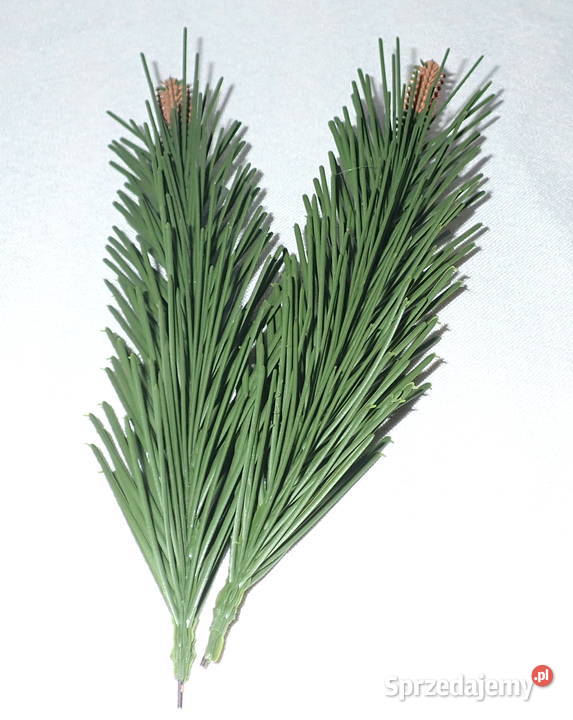 Gałązka sosny na drucie 5 sztuczna choinka 21