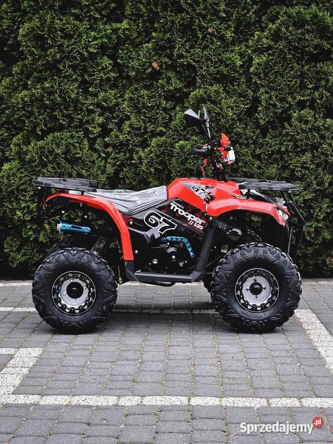 Quad 125cc Beretta Trooper XXL NOWY RATY LICZNIK 125cm3 mazowieckie