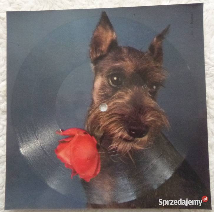 Pocztówka dźwiękowa 1980 Boney M Two of us