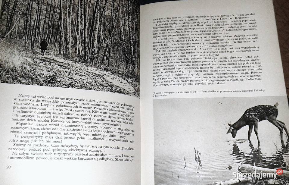 Ziemia puszcz i jezior Kazimierz SaysseTobiczyk Chełm