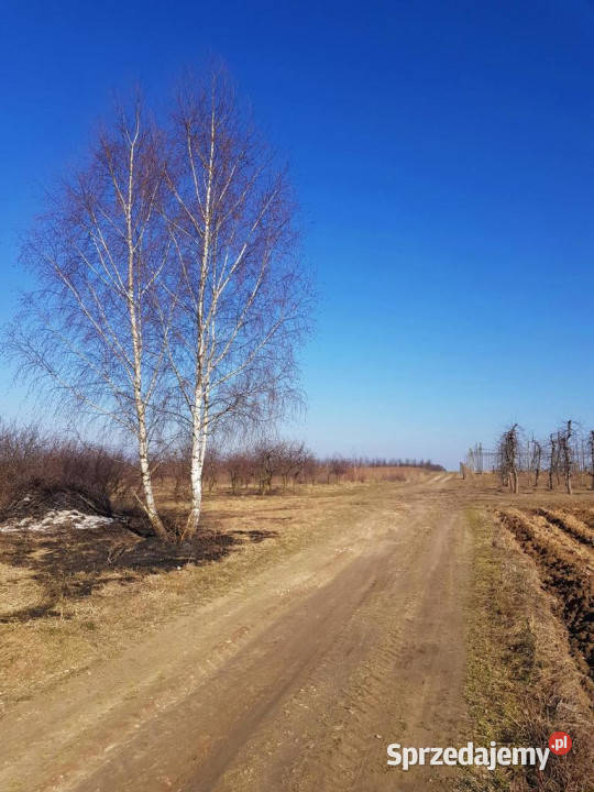 Piękna działka rekreacyjna na zaciszu Karczmiska Karczmiska Pierwsze