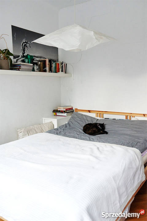 Warszawa Koło parku