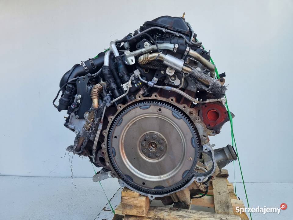 SILNIK KOMPLET Land Rover Range Rover Vogue III lubelskie Rudka