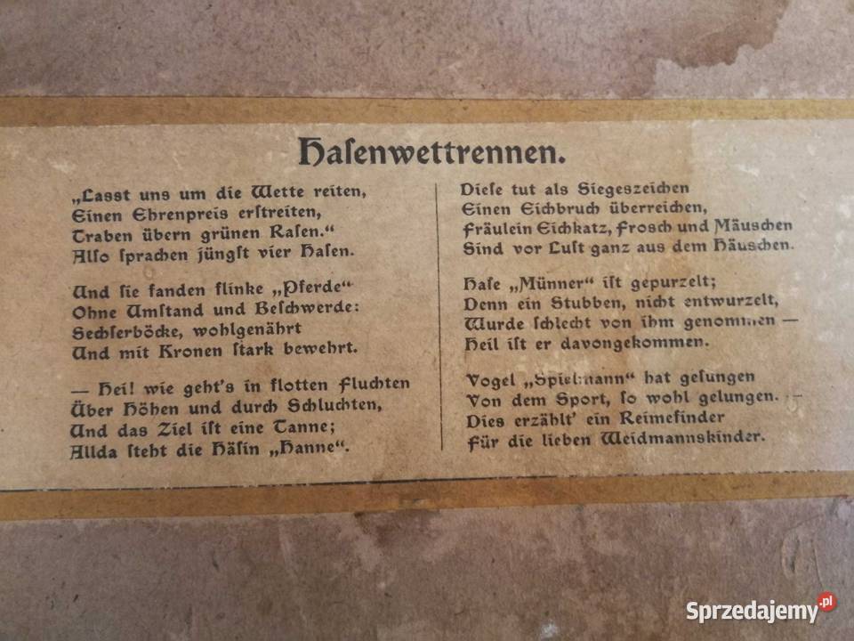 Stary obraz Wyścig Zająców Hedwig Pelizaeus zachodniopomorskie