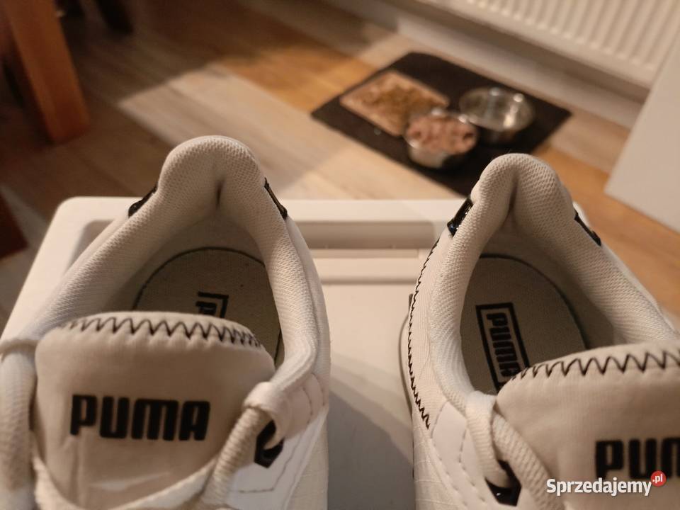 Pumy damskie Wrocław sprzedam