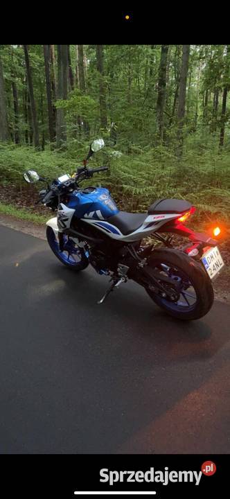 Suzuki gxss Milicz
