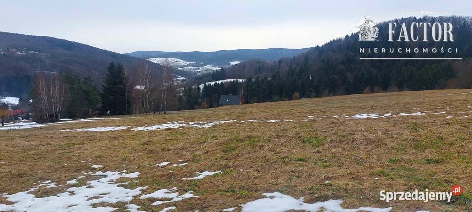 Siary działka budowlano rolna 053 ha 1169S2026