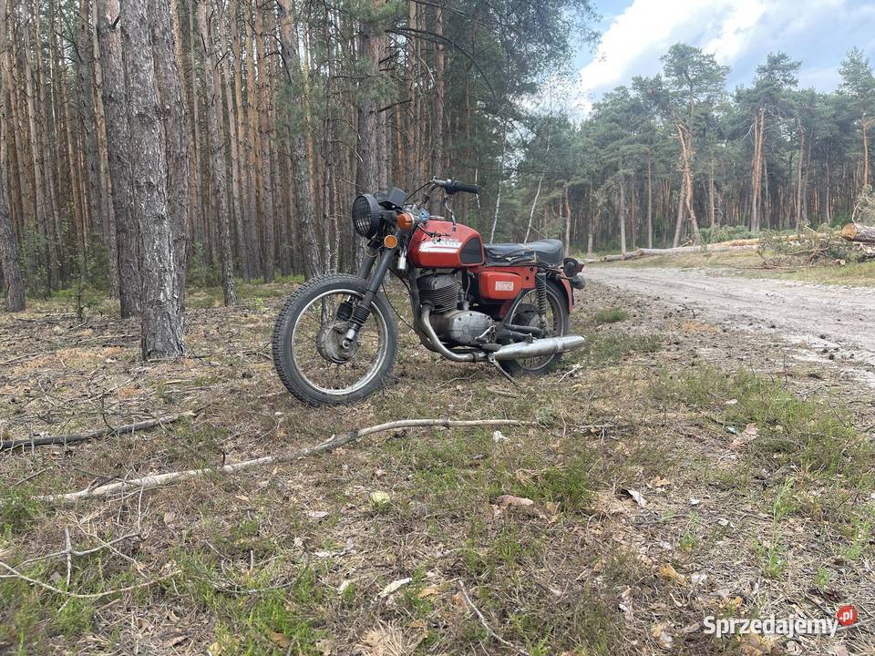 cz175 Puławy