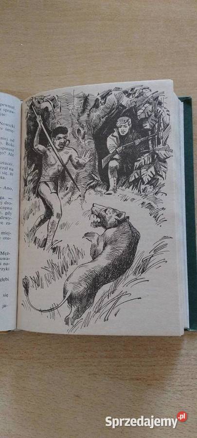 Przygody Tomka na czarnym Lądzie Tom drugi Beletrystyka, powieści Lublin