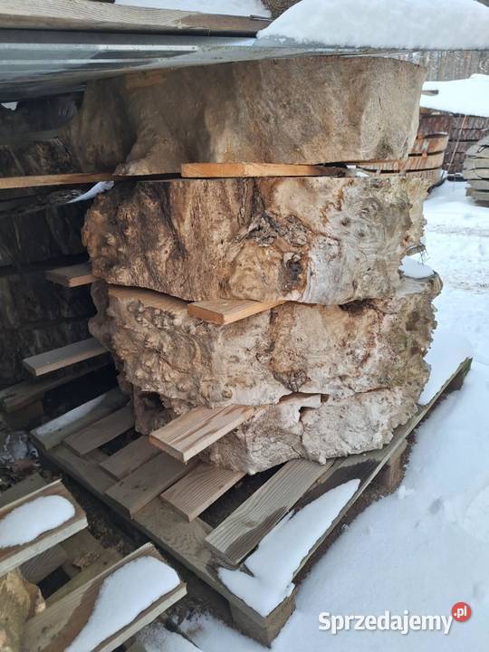 Plastry Foszty Drewno pod żywicę Dzikowiec sprzedam