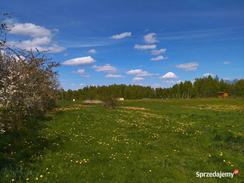 Działka rekreacyjna z możliwością zabudowy 70zł/m2 Raj