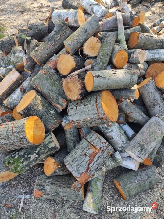 Drewno opałowe Sosna grubaOlszynabrzozatransport kujawsko-pomorskie