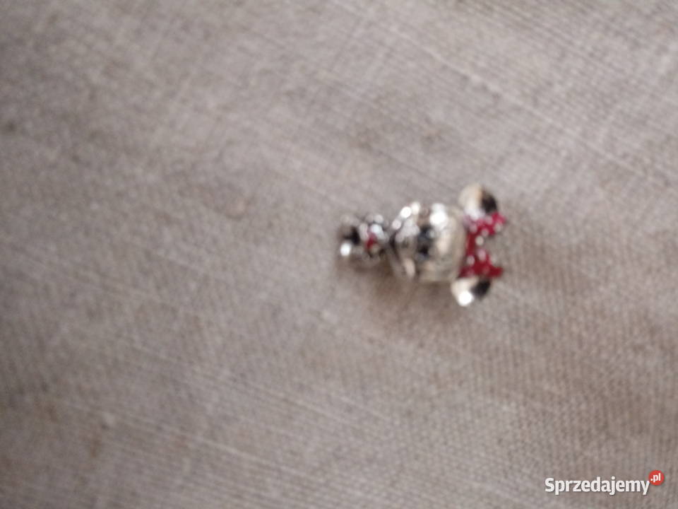 charms disney Bydgoszcz