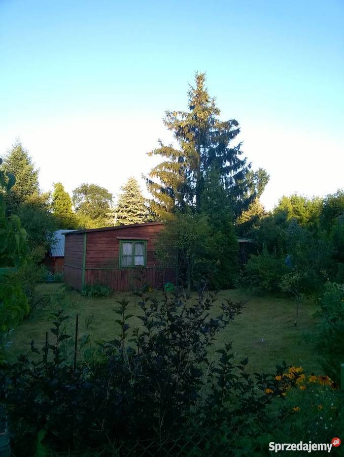 Działka rekreacyjna 300m2 Białołęka Dworska 42zł/m2