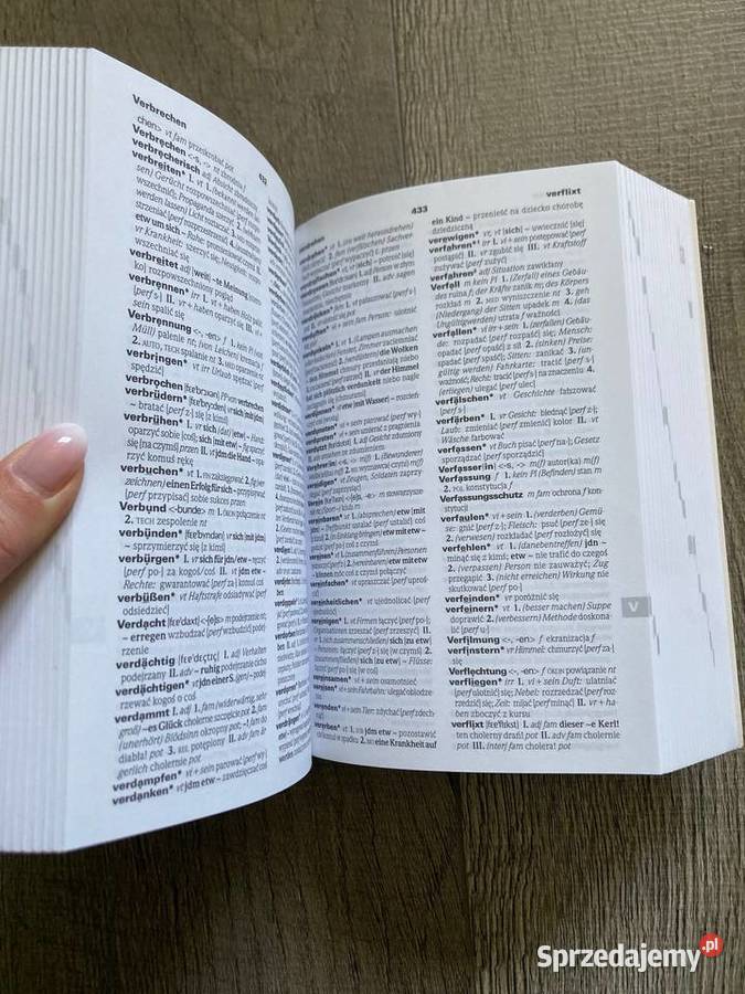 Praktyczny słownik niemieckopolski polsko słowniki Nisko sprzedam