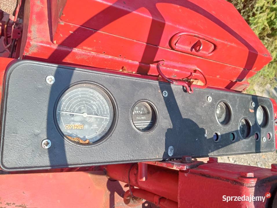 Władimir t 25 Władimirec małopolskie Nowy Sącz sprzedam