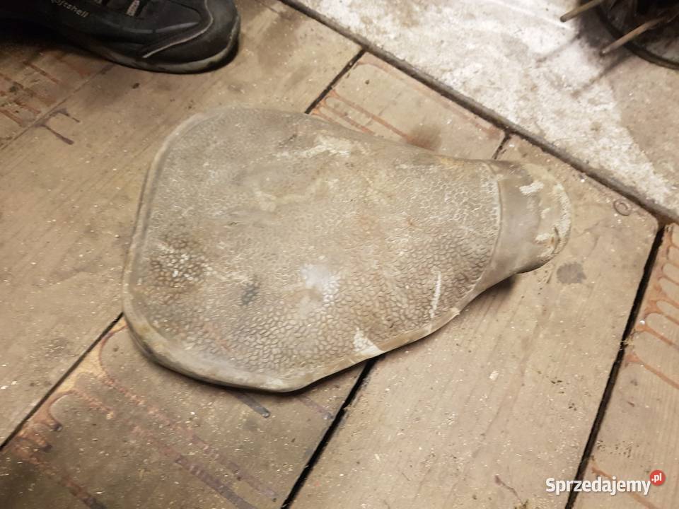 Siedzenie komar sztywniak mr 232 2320 itd Bydgoszcz