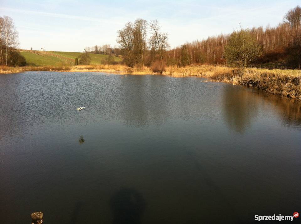 STAWY HODOWLANE Z DOMKIEM LETNISKOWYM siedliskowa Stary Ujazd