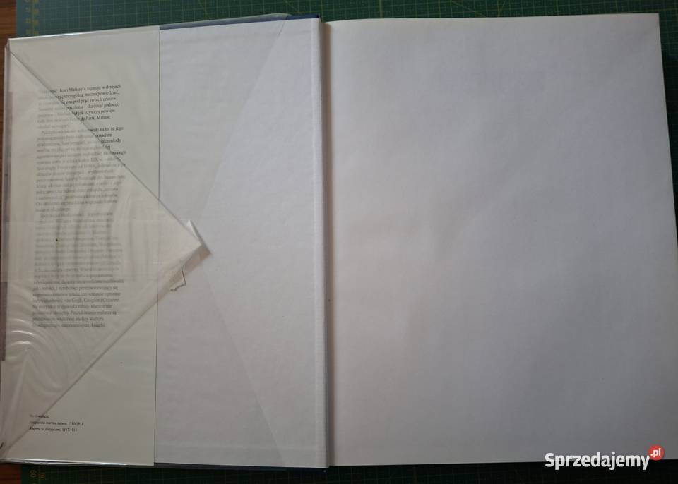 Życie i twórczość Henri Matisse Arkady ISBN 8321340768 małopolskie