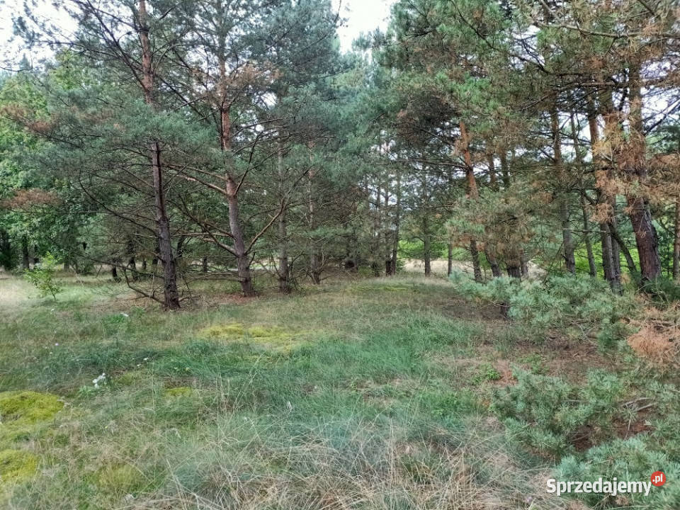 Działka 1 436 m Świbinki