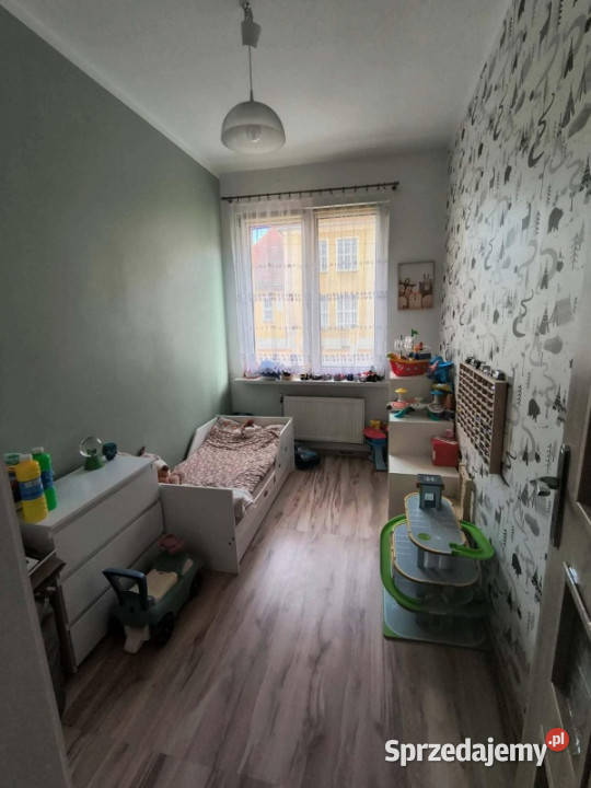 Słoneczne mieszkanie w centrum Torunia Toruń