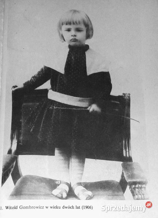 Jaśnie panicz Joanna Siedlecka Rok wydania 1992 Chełm