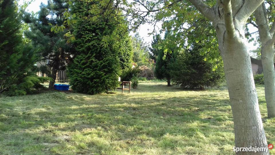 Sprzedam ogródek działkowy Płock