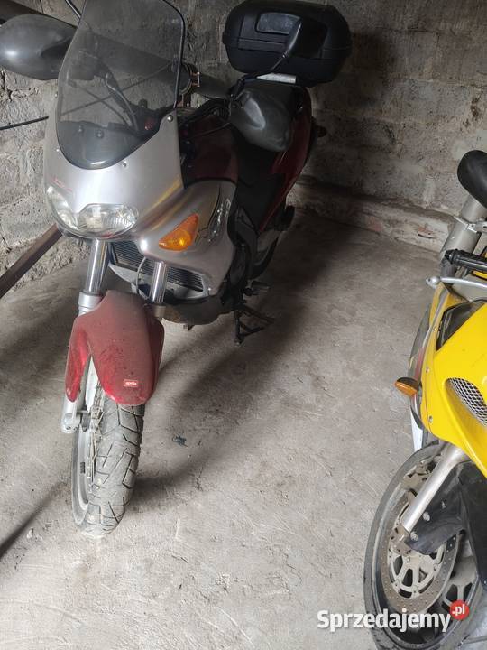 Aprilia