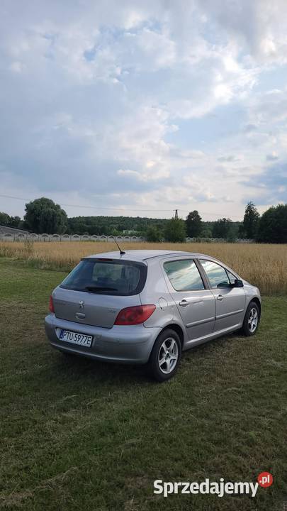 Peugeot 307 zadbany 7lat w jednych rękach Rok produkcji 2002 Turek