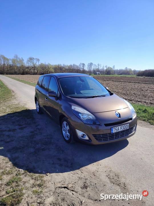 Renault Grand Scenic 3 Linów