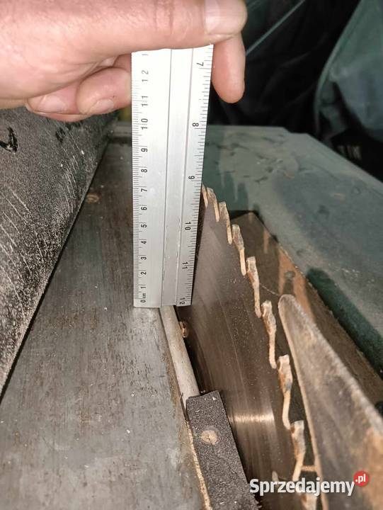 Sprzedam krajzege lubuskie Żary