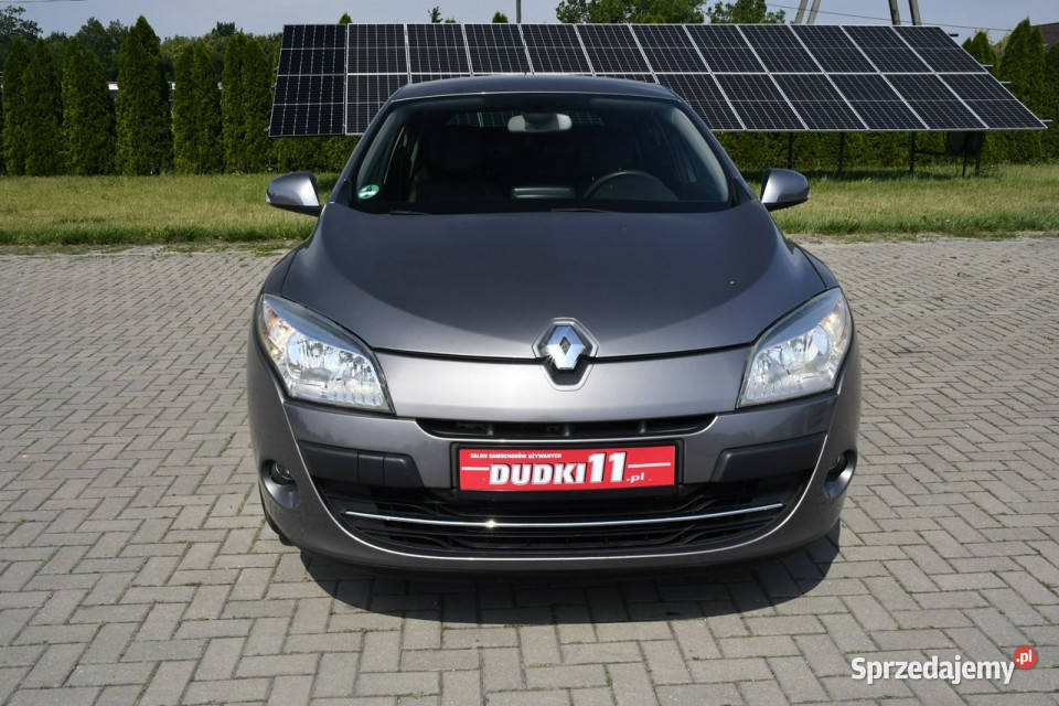 Renault Megane 19dci DUDKI11 236000km Kutno sprzedam