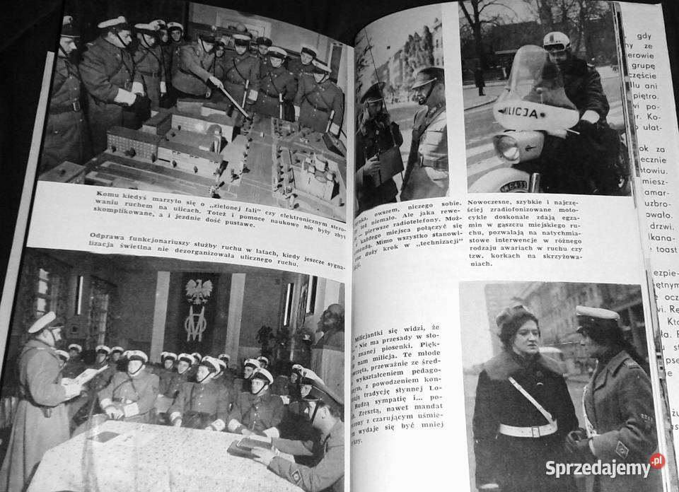 Szarobłękitni na tropach zbrodni praca zbiorowa Pozostałe lubelskie