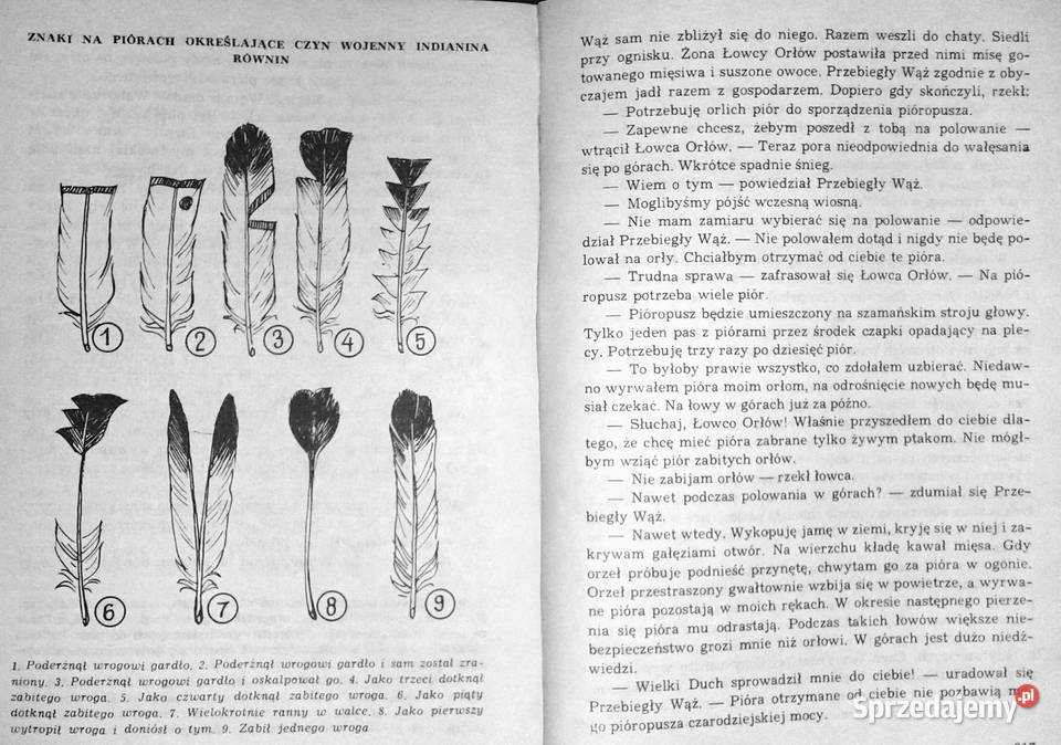 Złoto Gór Czarnych Przekleństwo złota Tom 2 K i Chełm