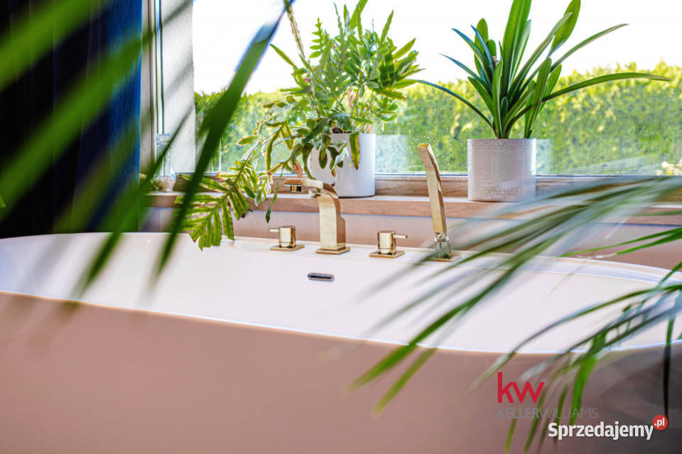 Dom wolnostojący 300m2 Mrowino 1890m2