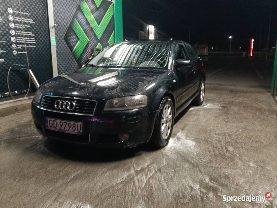 Audi A3 8P 19TDI Tczew