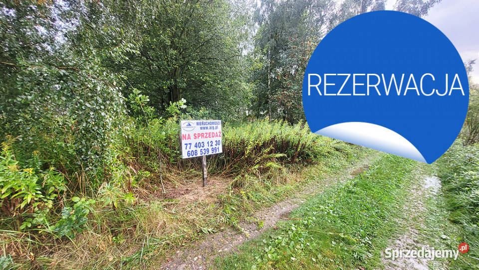 Na Sprzedaż piękna działka o pow 487 m2 opolskie Biskupice sprzedam