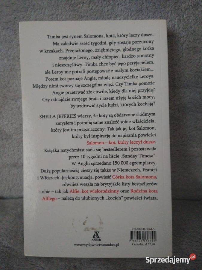 Syn kota Salomona który naprawia zycie ludzi dolnośląskie Oborniki Śląskie sprzedam