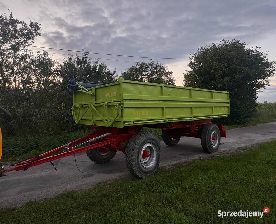 IFA HW8011 Toruń