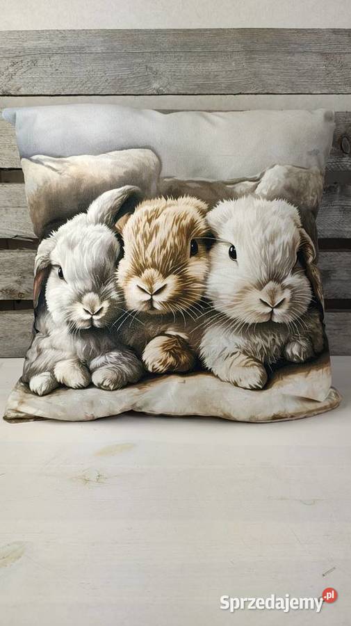 Poszewka na poduszkę Poduszki dekoracyjne łódzkie