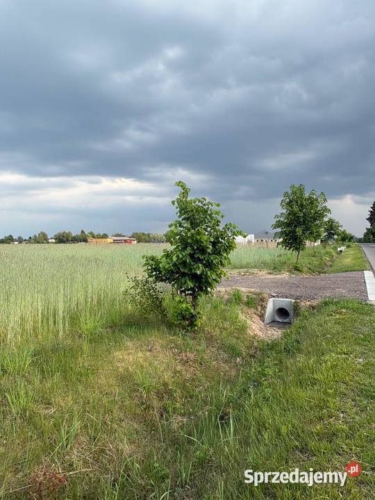 Działka budowlana WZ mKownay gmPłońsk szybki Sprzedaż Warszawa