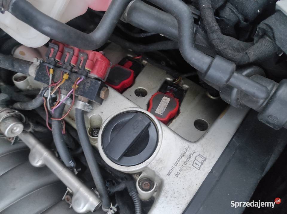 Silnik 30 ASN Audi A4 B6B7 A6 C5C6 A8 D3 Lublin