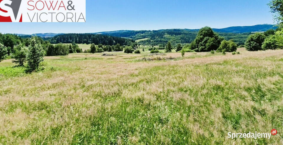 Idealna pod rekreację działka z widokiem na góry Sprzedaż dolnośląskie Sierpnica
