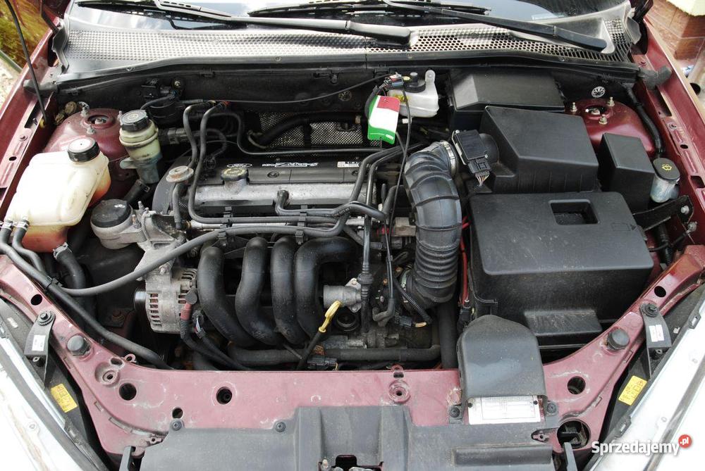 Ford Focus 1999 r Hatchback Benzyna Dębno