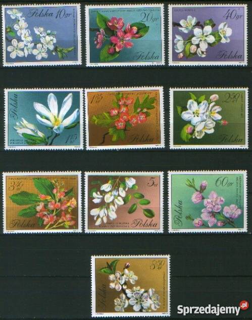 Zn Fi 1985 94 1971 śląskie Gliwice sprzedam